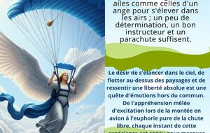 Nous ne sommes pas tous des anges.!